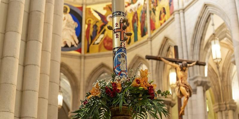Misa Jubilar para las Hermandades y Cofradías en la Catedral de la Almudena