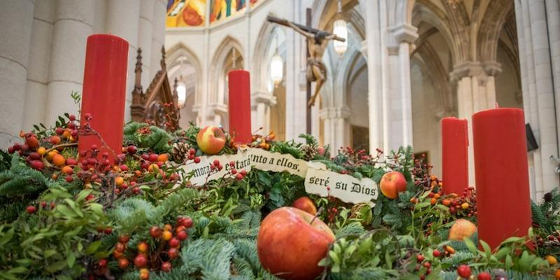 II Domingo de Adviento: el cardenal José Cobo preside una misa en la catedral de la Almudena