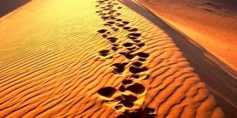 Santa Teresa Benedicta de la Cruz organiza un retiro cuaresmal