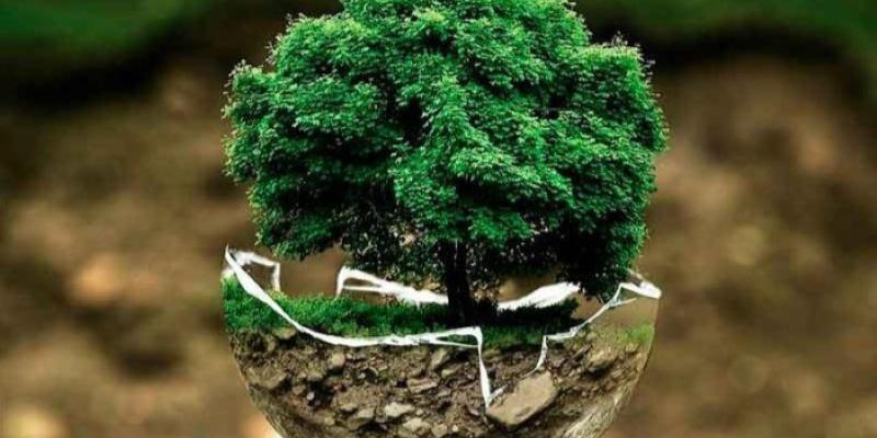 El obispo auxiliar Vicente Martín Muñoz participa en el primer encuentro nacional de Ecología Integral organizado por la CEE