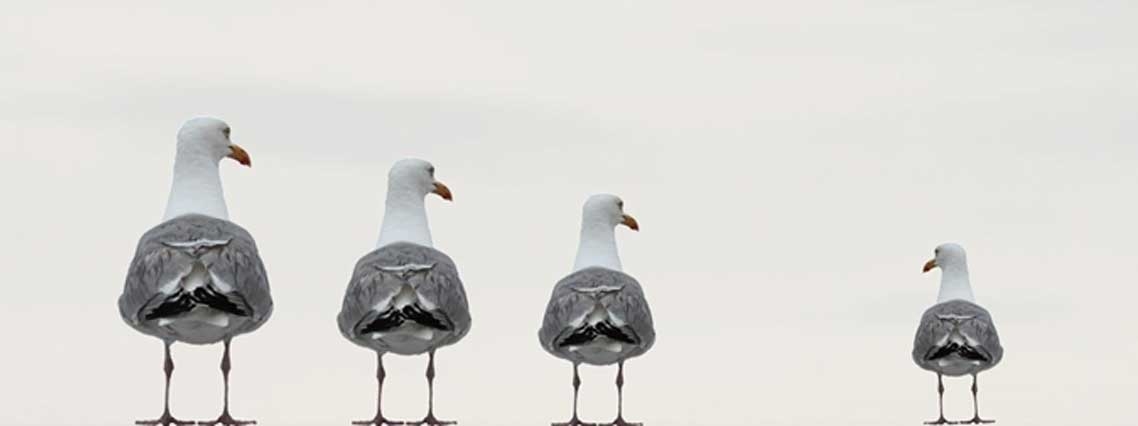 La Fundación Pablo VI organiza un curso de bióetica el ámbito de la discapacidad intelectual y la salud mental
