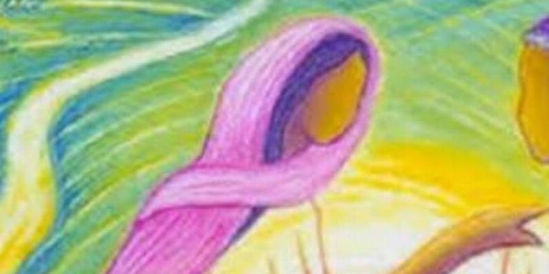 El área de Formación y Espiritualidad de Confer celebra una jornada sobre la exhortación apostólica Gaudete et Exsultate