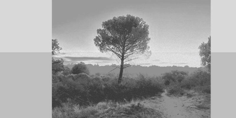 Pablo d’Ors imparte en San Ignacio de Loyola de Torrelodones una ponencia titulada 'El camino meditativo'