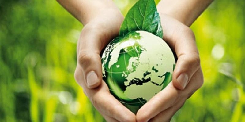 La Pastoral Juvenil de la Vicaría II organiza un curso sobre el cuidado de la creación en la Laudato Si'