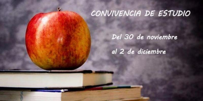 Santa Genoveva Torres Morales de Majadahonda organiza una convivencia de estudio