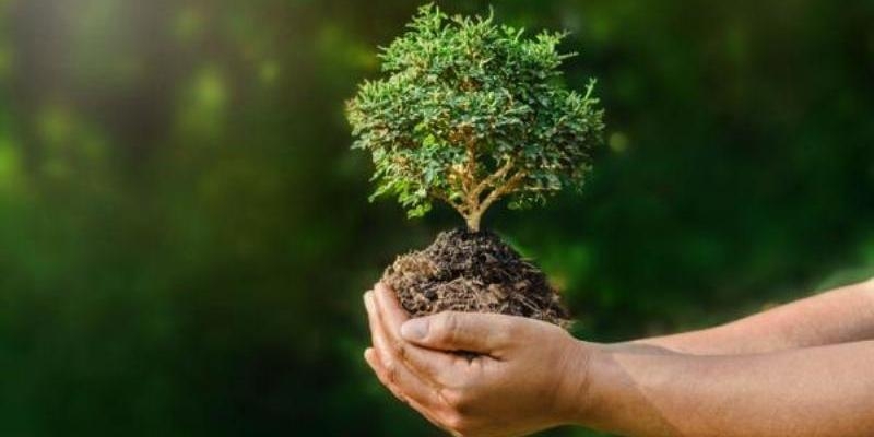 La Casa Cultura y Encuentro de Carabanchel organiza un ciclo de conferencias sobre la ecología integral