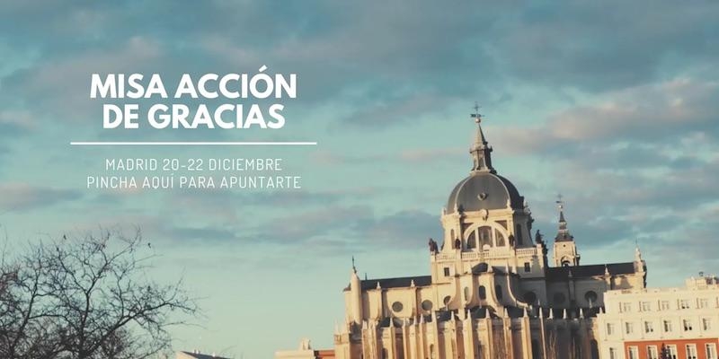 El cardenal Osoro preside en la catedral de la Almudena la Misa de acción de gracias de Hakuna por el año que termina