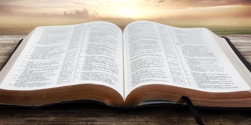 Nuestra Señora de la Visitación de Las Rozas programa un curso sobre la Biblia