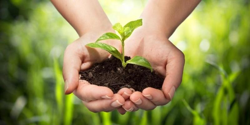 Las Javerianas de Galapagar ayudan a reconciliarse con la tierra a través de un taller virtual