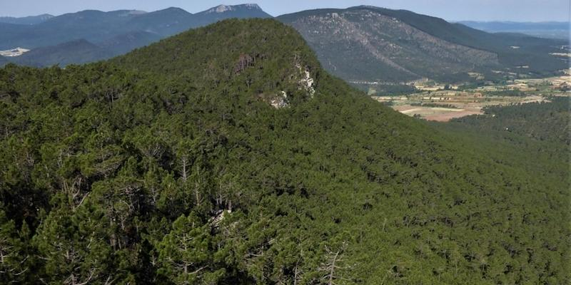 Santa María Soledad Torres Acosta y San Pedro Poveda inaugura en Casillas de Ranera sus actividades de verano