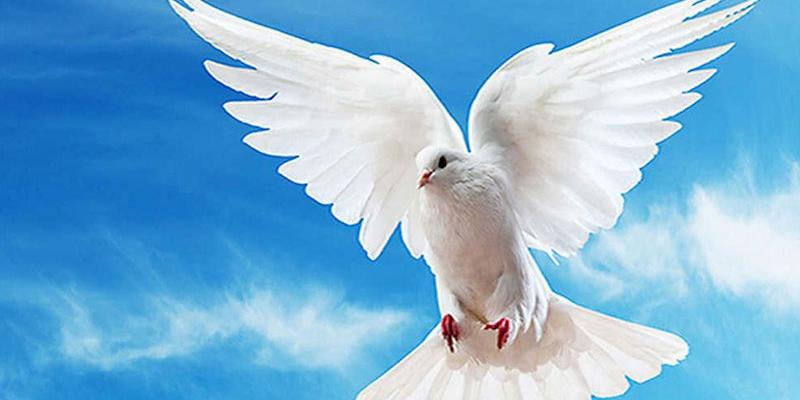 San Antonio María Zaccaria despide el año con un encuentro de oración por la paz