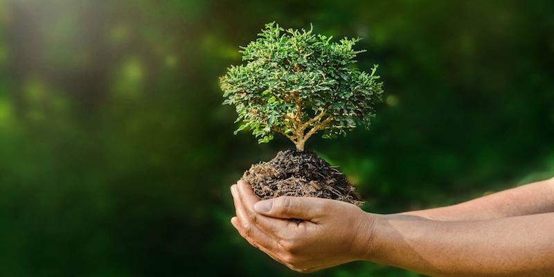 Hermandades del Trabajo organiza una charla sobre el cuidado de la naturaleza