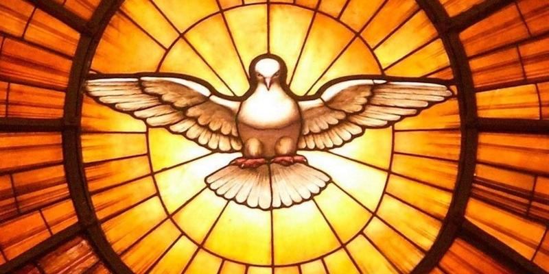 Monseñor Martínez Camino administra este sábado la Confirmación a alumnos del Colegio Edith Stein