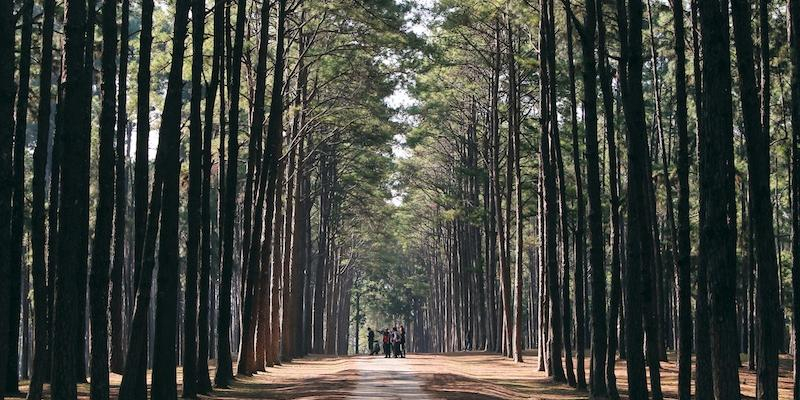 Finalizan los campamentos de Cáritas Diocesana de Madrid en Cercedilla y Los Palancares