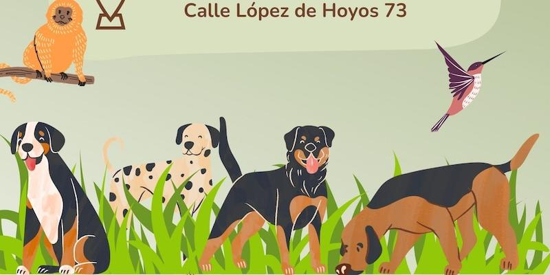 Fiesta de san Antonio Abad en Sagrado Corazón de Jesús con bendición de mascotas