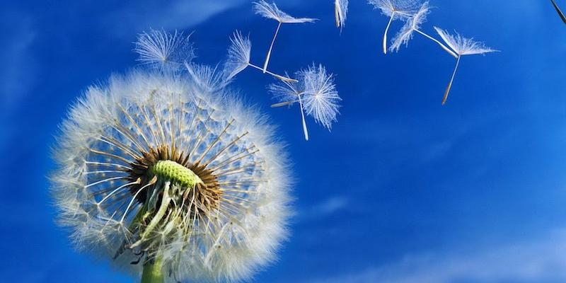 Nuestra Señora del Buen Suceso acoge el acto de presentación de los Talleres de Oración y Vida del padre Larrañaga