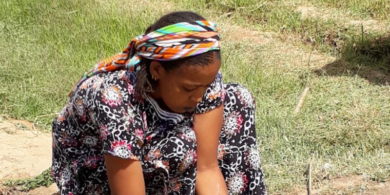 Expertos de Cáritas de cuatro países comparten en Madrid sus experiencias de éxito para asegurar el derecho a la alimentación