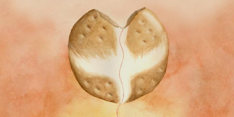 Ingresa en Iesu Communio una joven que maduró su vocación en la misión