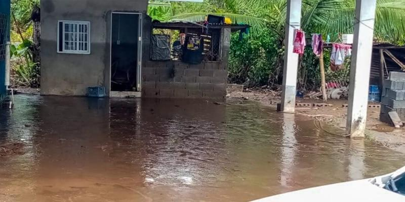 COVIDE-AMVE lanza una alerta para ayudar a los países de América Central azotados por el huracán 'Eta'