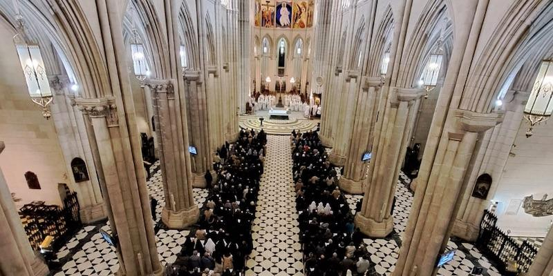 «Estáis llamados a dar testimonio de que merece la pena fiarse de Cristo y de la Iglesia»