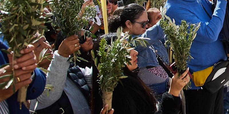 La catedral de la Almudena acoge la celebración del Domingo de Ramos, con bendición solemne de los ramos