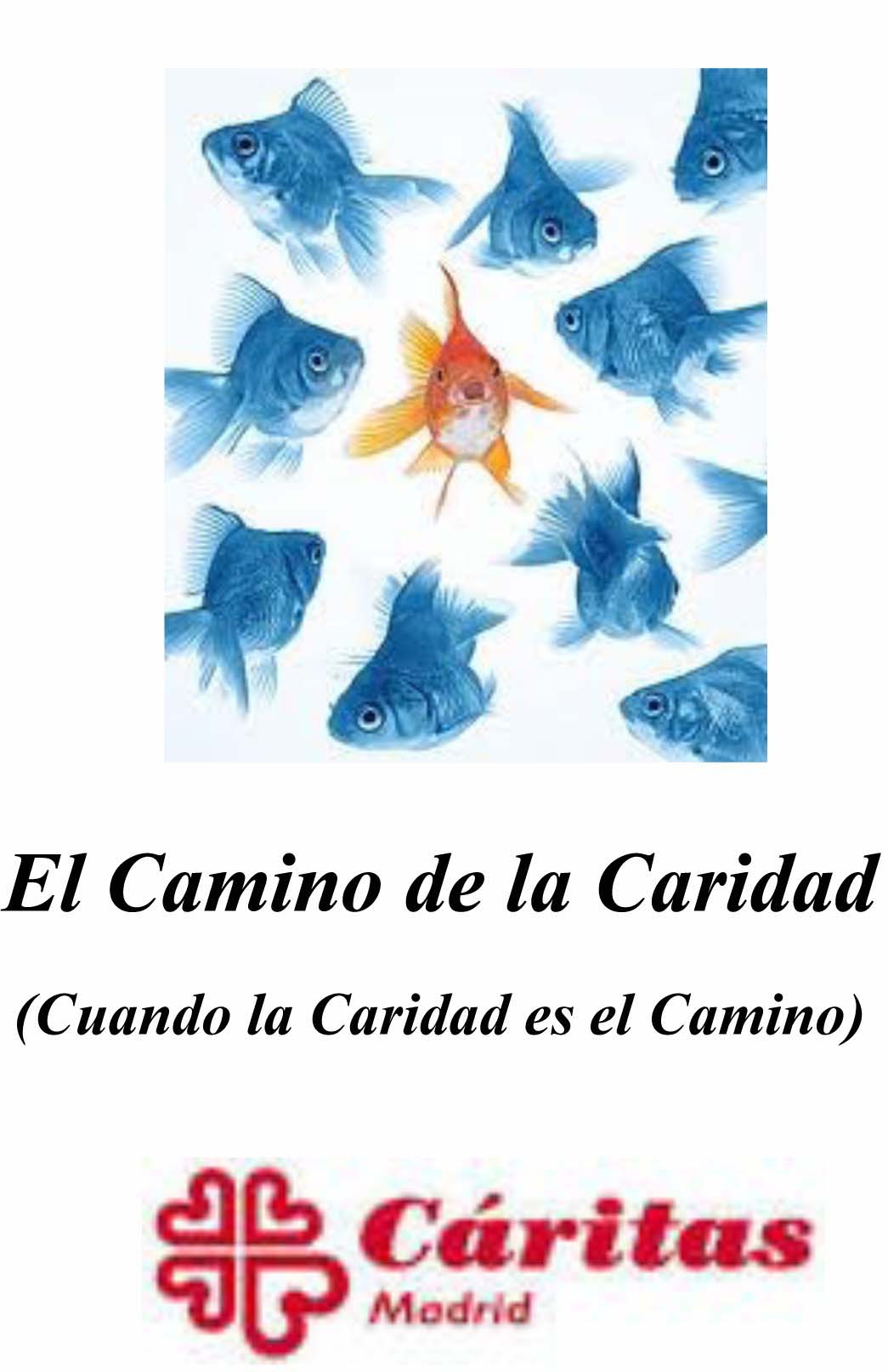 Cáritas Vicaría V organiza una semana formativa