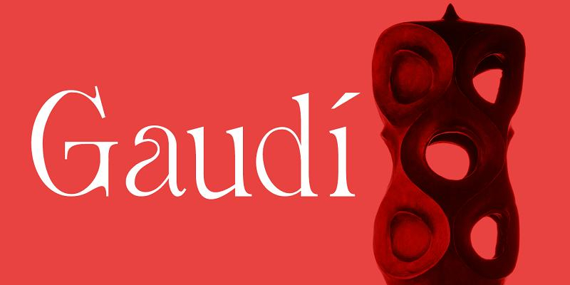 La asociación Nártex programa una visita guiada a la exposición Gaudí para el último viernes de noviembre