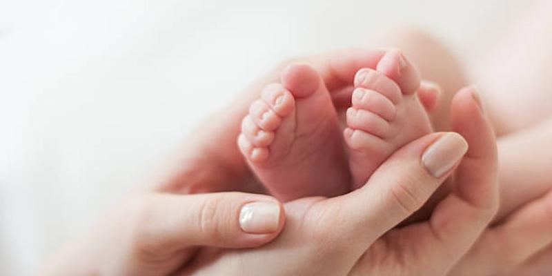 La situación legal del aborto, a estudio en el aula de actualidad de Asunción de Nuestra Señora de Torrelodones