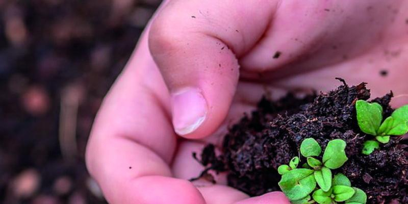 La Fundación Amoverse busca voluntarios para un campamento urbano en La Ventilla