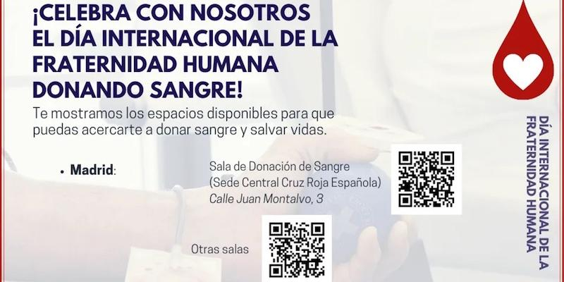 Arco Forum invita a celebrar el Día Internacional de la Fraternidad Humana donando sangre