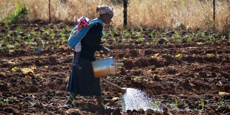 Nuestra Señora de la Montaña se suma a la campaña contra el hambre de Manos Unidas