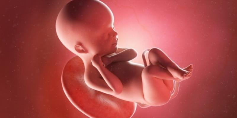 El arciprestazgo de Lozoya-Buitrago realiza en Cuaresma una campaña de oración por la vida y el fin del aborto