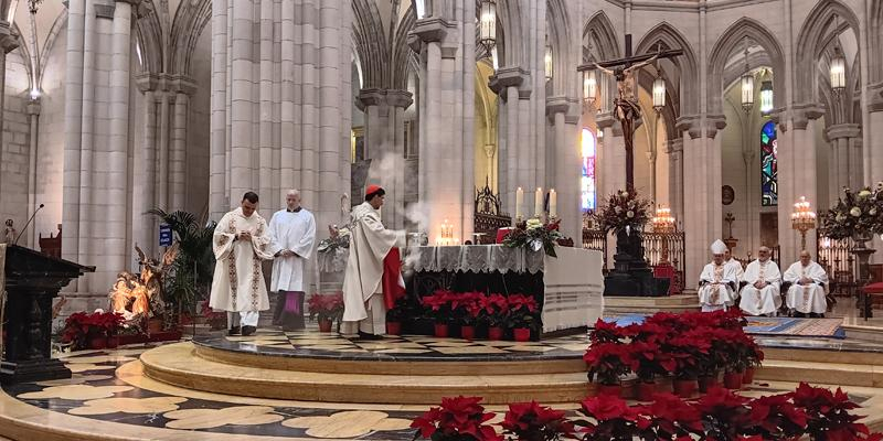 El cardenal Cobo, en la Misa de Año Nuevo: «Dios siempre comienza de nuevo y Dios hace todo nuevo»