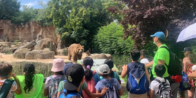 Menores de Vicálvaro y de Cáritas Vicaria VII zona sierra disfrutan de unos días de actividades conjuntas en Cercedilla
