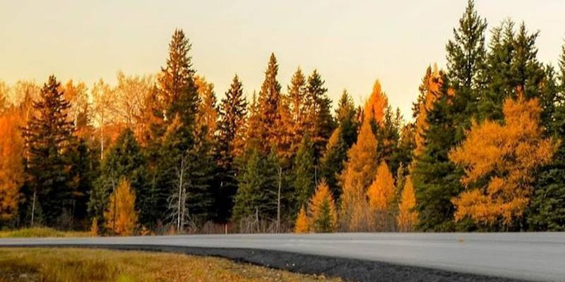 Concluye el análisis del hombre a la luz de Dios en 'Fortes in fide' de María Madre del Amor Hermoso