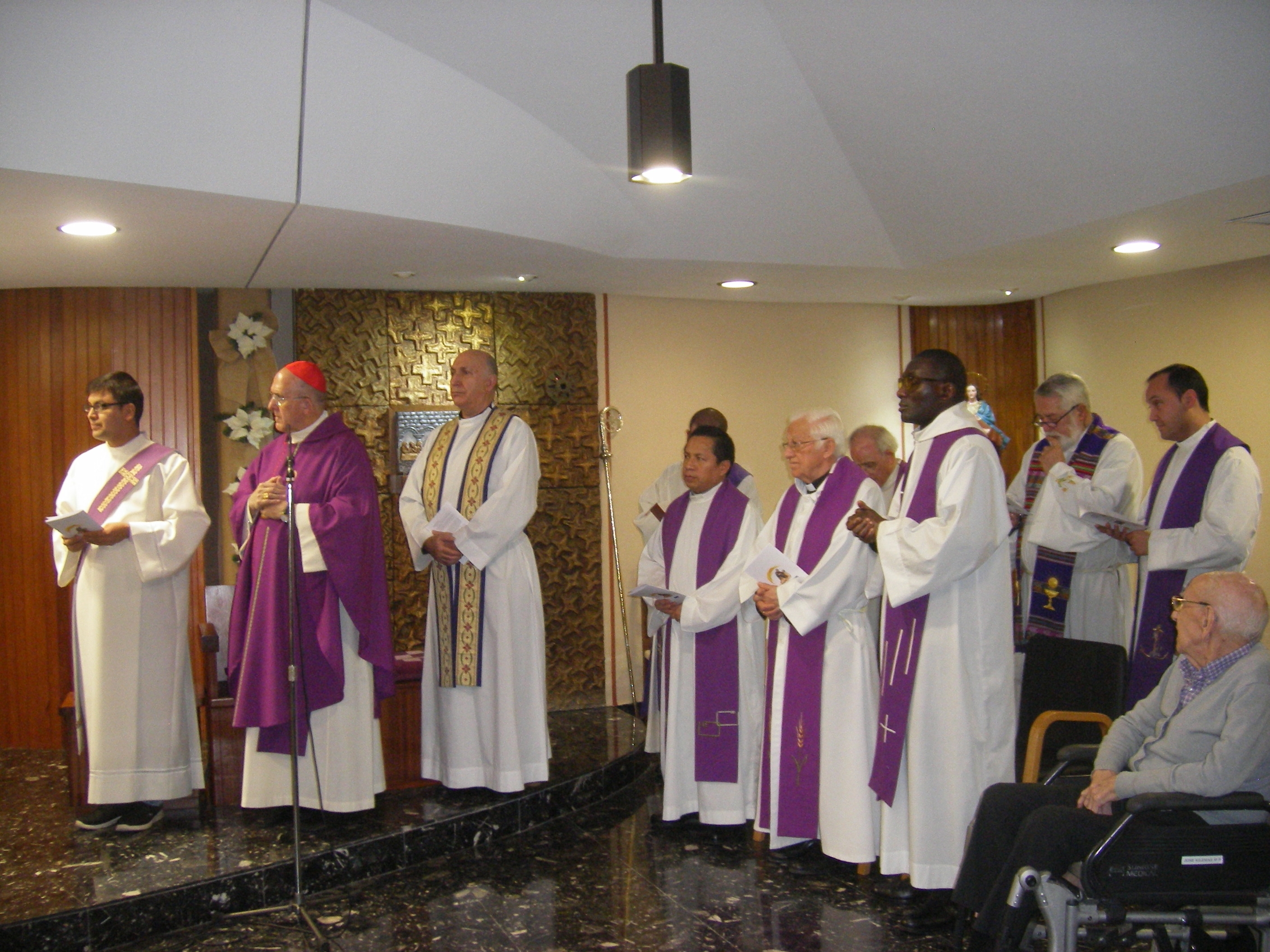 El purpurado anima a «cultivar el encuentro con la persona que sufre»