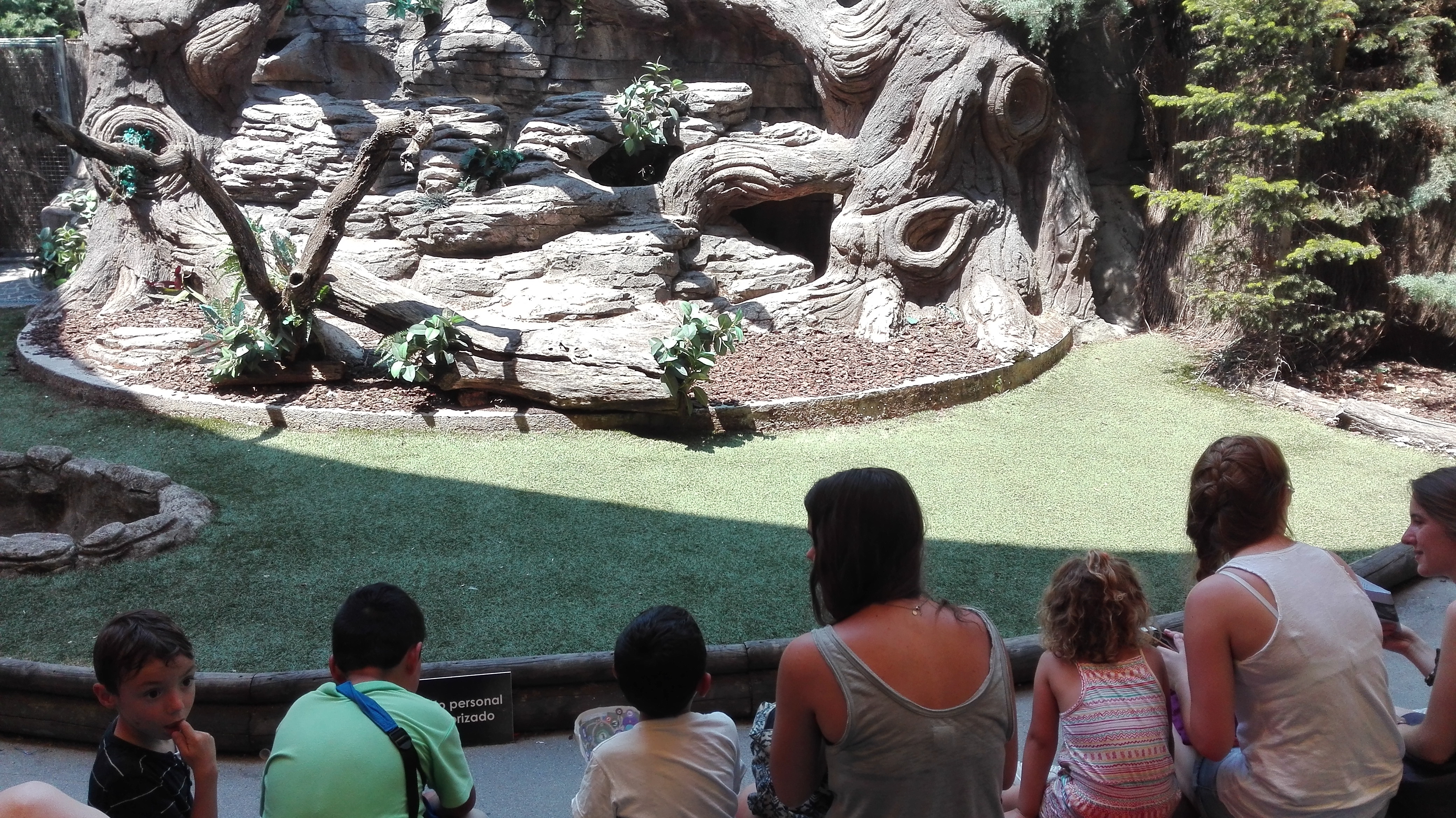 Excursión al Safari Park de la colonia urbana de Cáritas Vicaría VII