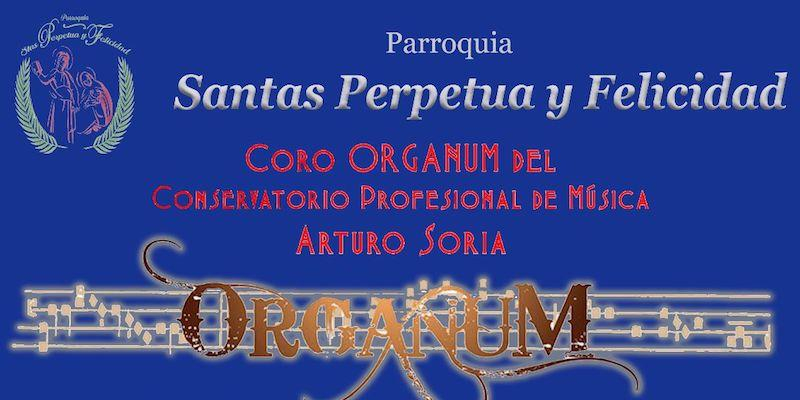 Santas Perpetua y Felicidad ofrece una Misa mensual animada por el Coro Organum