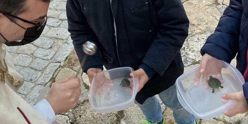 Numerosas parroquias celebran san Antón con la bendición de las mascotas, que son «un signo de la ternura de Dios»