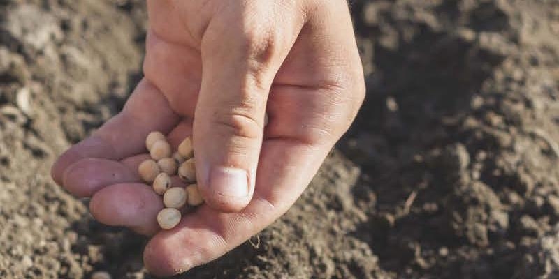 La casa de las religiosas del Amor de Dios acoge una jornada formativa para la Misión Compartida