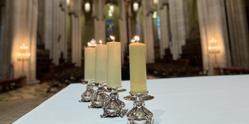 El cardenal Osoro celebra en la catedral una Misa con voluntarios y personal de Cáritas Diocesana de Madrid