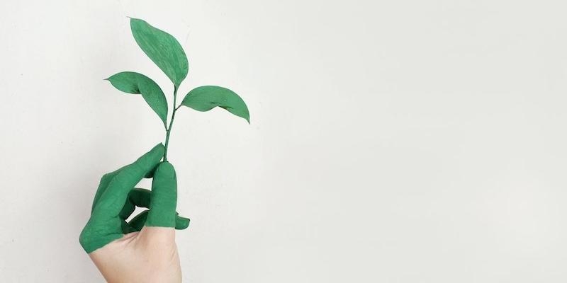 El Centro de Humanización de la Salud organiza un curso virtual de crecimiento personal y espiritual