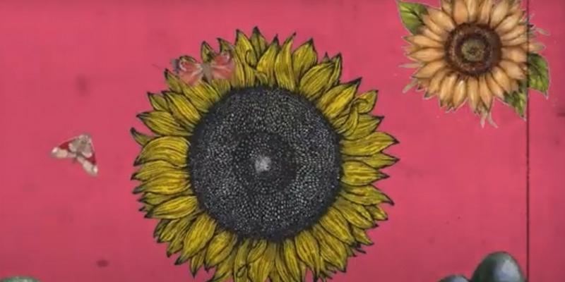 'El dilema del prisionero' gana la XI edición del Festival de Clipmetrajes de Manos Unidas