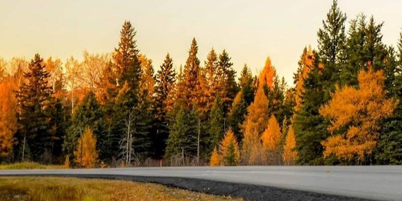 María Madre del Amor Hermoso de Villaverde Bajo inaugura en octubre la nueva temporada de 'Fortes in Fide'