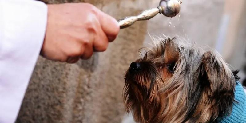 Rafael Navarrete, párroco de San Juan XXIII, con motivo de la fiesta de San Antón: «Os animamos a que vengáis con vuestros animales que tanta compañía y bien nos hacen»