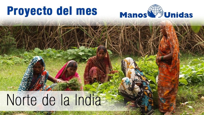 Más de 3.000 agricultores indios se benefician de la ayuda de la diócesis