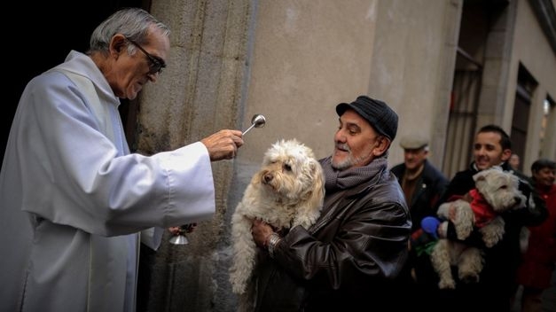Bendición de mascotas en la parroquia Beata María Ana Mogas