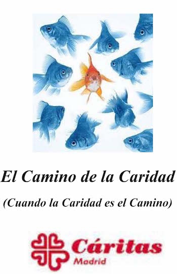 Semana formativa en Cáritas Vicaría V