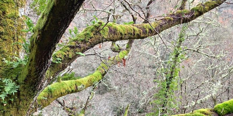 San Eloy de Peñagrande organiza una tanda de ejercicios espirituales en tiempo de Cuaresma