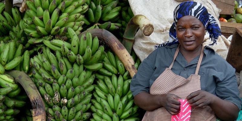 Manos Unidas destinó cerca de 36 millones de euros a proyectos de desarrollo en África, América y Asia